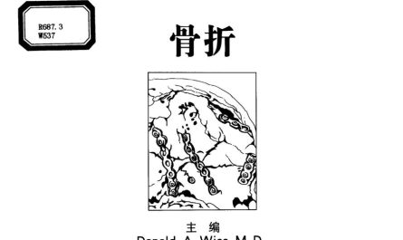 【百度网盘】骨科标准手术技术丛书 PDF 分享